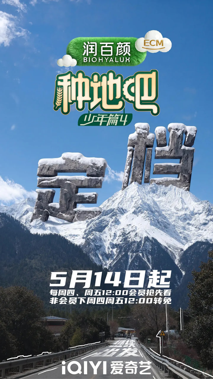 满天星啄木鸟高压监狱网盘